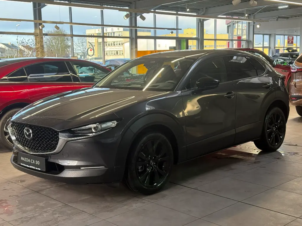 Mazda CX-30 140ps 6AT Homura/SHZ/Navi/Kamera/Head-Up/A