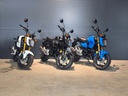 HONDA MSX 125 Grom I 2025 | TAGESZULASSUNG