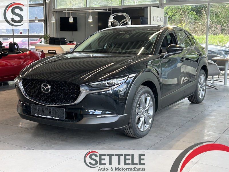 MAZDA CX-30 140ps 6MT Exclusive-Line/Navi/Acc/360Kam/B