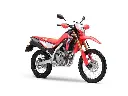 Honda CRF300L | NEU | MJ. 25 | Vorbestellen | LED